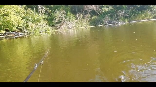 Вот это ОТЛОВИЛСЯ по голавлю на ДЕДОВСКОЙ ЛИСИЧАНКЕ!!! смотреть онлайн