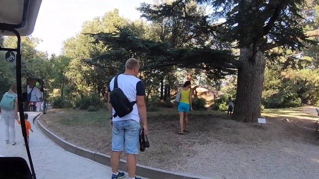 Обзорная экскурсия по Воронцовскому парку
