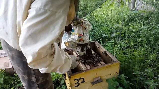 Поймал РОЙ и Сюрприз под Крышкой! смотреть онлайн