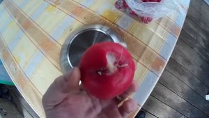 Редис размером с яблоко. Выращивание редиса. Урожайный сорт редиса.