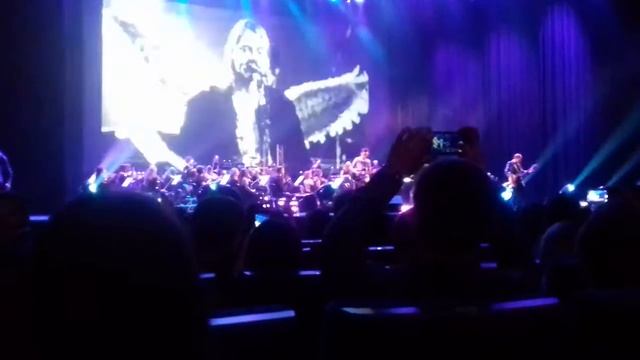 Concord Orchestra - Smells Like Teen Spirit смотреть онлайн