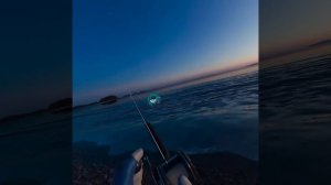 Oculus Quest 2 Real VR Fishing _3