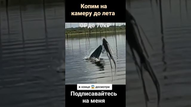 копим рыбалка