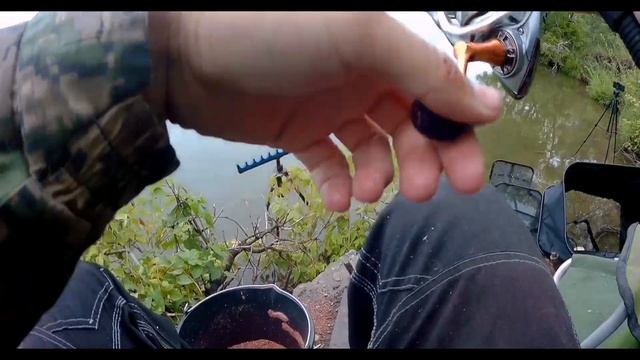 Короткая утренняя рыбалка на красивом деревенском водоёме. Ловля на пикерные удилища.
