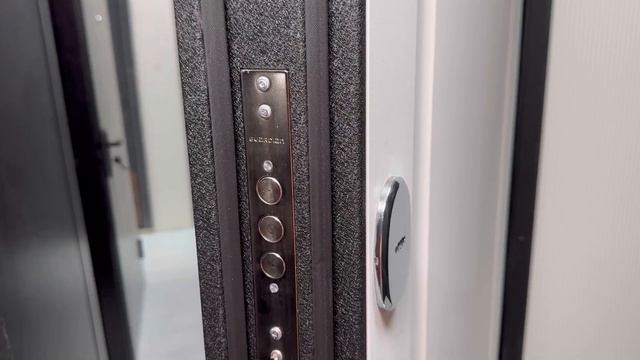 Обзор входной двери Ретвизан Медея 321 смотреть онлайн