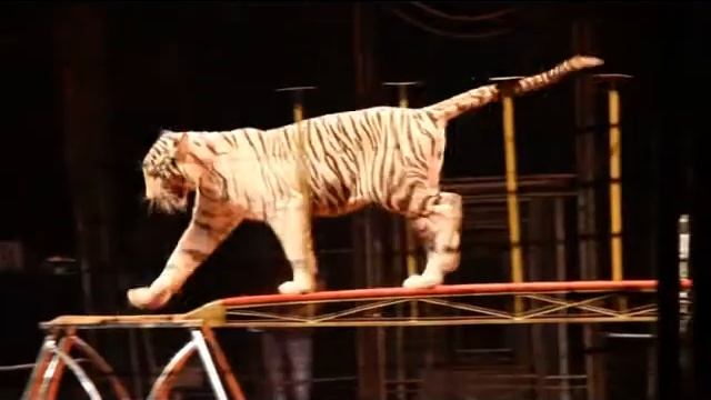 Василий КОЛОС в Краснодаре! смотреть онлайн