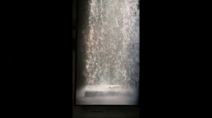 Необычная выставка видео художника Билла Виолы в Пушкинском музее
