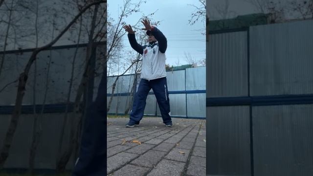 Лучшие моменты трансляции 