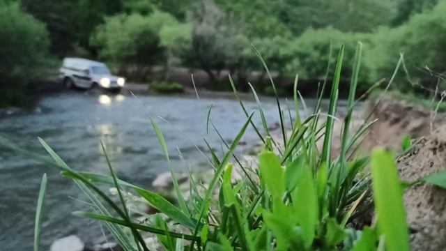 Восточный Казахстан. село Огнево. Katon-Karagai смотреть онлайн