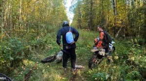 Эндуро. Заблудились в лесу.