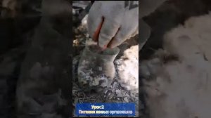 Всё живое дышит,питается ,растёт и размножается❗(1)