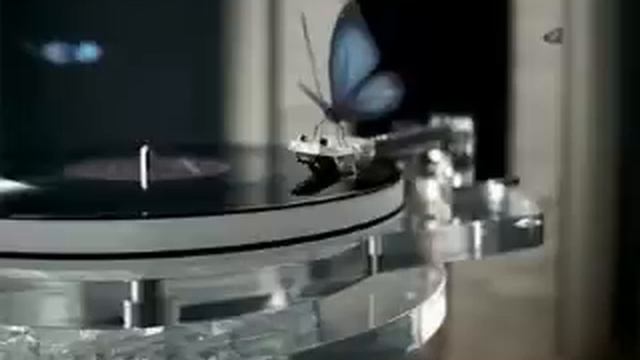 the Temptations-I´ll keep my light in my window смотреть онлайн