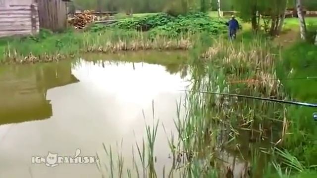Нежданчик на рыбалке! Смехота!