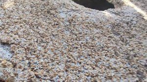 Мельничные жернова. Городец. Город мастеров.