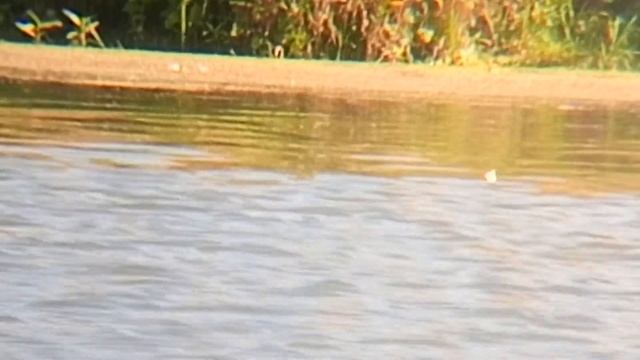 16.07.20  Поплавок из пробки-один из вариантов. Медный Крючок