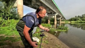 Сура и Боцман 27.08.2024