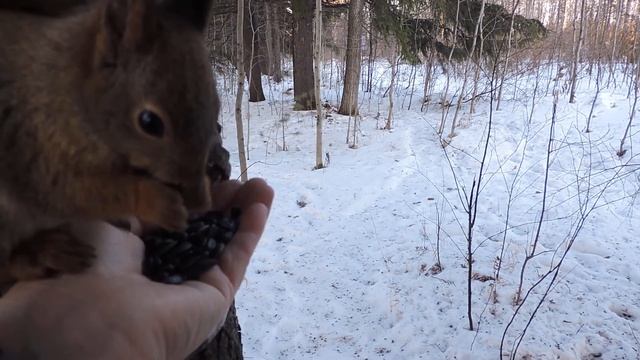 Встреча состоялась.