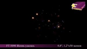 Батарея салютов 'Жизнь удалась' FT 5090
