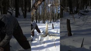 Солонец для зайца