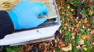 пчеловодство,верхняя вентиляция, подготовка семей к зимовке, работы на пасеке в октябре,зимовка пчел