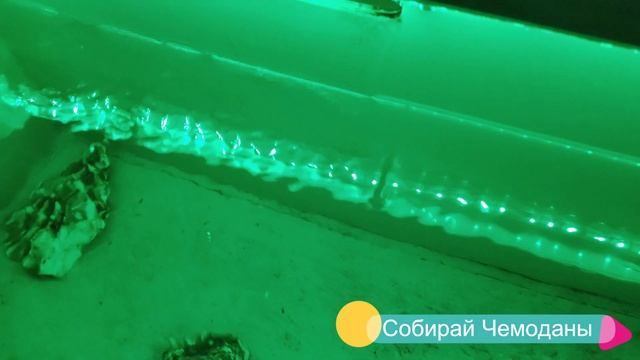 Ресторан "Vertical" на 51-ом этаже в небоскребе "Высоцкий" в Екатеринбурге смотреть онлайн