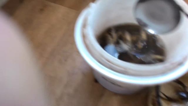 Итоги рыбалки смотреть онлайн