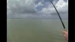 Kamex Ko : RAPALA CountDown Magnum