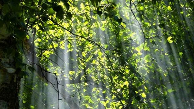 Shut Away | Relaxing music смотреть онлайн