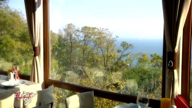 FishCafe 01 28 06 11 13 смотреть онлайн