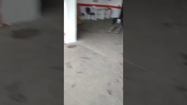 PPL автозапчасти б/у оригинал. Отправка 30.06.18. 0978923991 смотреть онлайн