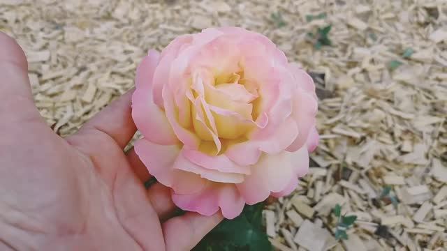 Вечерний релакс...!!! смотреть онлайн