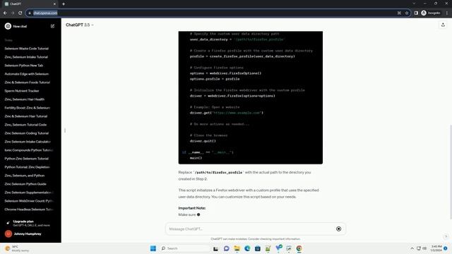 selenium firefox user data dir python