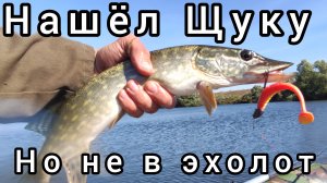 202-Нашёл Щуку, но не в Эхолот.(21.09.2024)