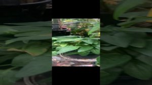 Новое поступление 25.10.24