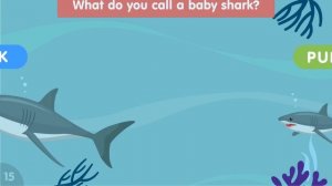 Guess Baby Animal Names | 30 Animals and their Babies