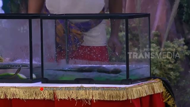 OPERA VAN JAVA | LOLITA DIKERJAIN TIM OVJ (18/12/17) 3-5