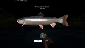 Троф Голец Арктический 11.800 кг. Русская рыбалка 4. р. Яма.