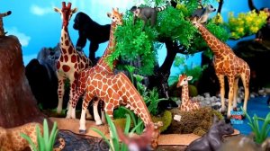 Fun Safari Diorama and Animal Figurines