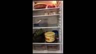 Хочу Пожрать. Елы- Палы показывает свою кухню Серому/ Прыжок с парашютом: Андрюха и Васька