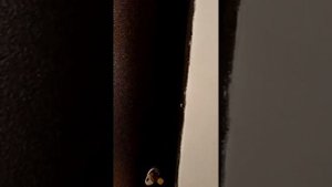 Конденсат и плесень на входной двери.