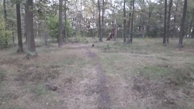 Cyclist's diary. Learning how to wheelie или Решил научиться ездить на заднем колесе) смотреть онлайн