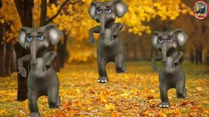 Elephant elephant Song | kids song English , elephant cartoon
