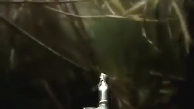 underwater fishing for pike подводная охота на щуку смотреть онлайн