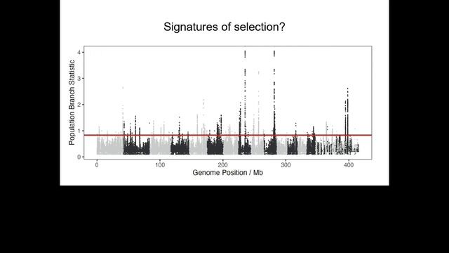 Understanding and conserving coral reefs through genomics - Ira Cooke - General Track - ABACBS 2023 смотреть онлайн