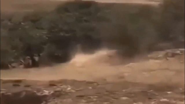 हाथी ने भूखे लेपर्ड से बचाया बेचारा शिकार को | Brave Elephant Rescues The Poor Prey From Leopard смотреть онлайн