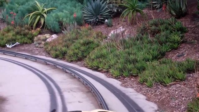 Safari trek смотреть онлайн