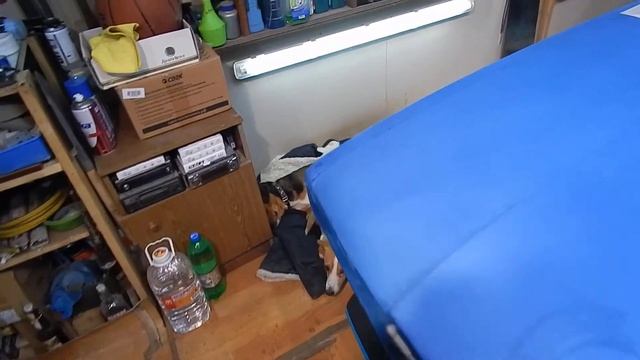 Алькантара жига #6 смотреть онлайн