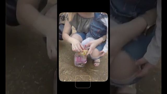 Остров Гомера и Тенерифэ в новый год