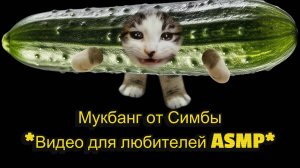 Мукбанг от Симбы.  Видео для любителей ASMP