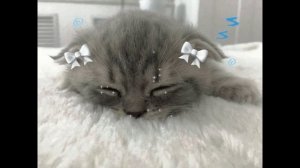 • mzllff — ящики •